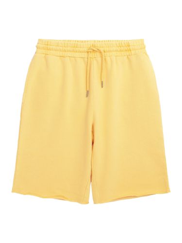 glore Knowledge Cotton Apparel BIRCH Sweat Shorts Super Sparpreis
