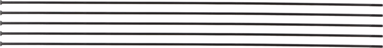 DT Swiss Champion® Straightpull 2.0 Speichen - 5 Stück Rabatte dieses Monats