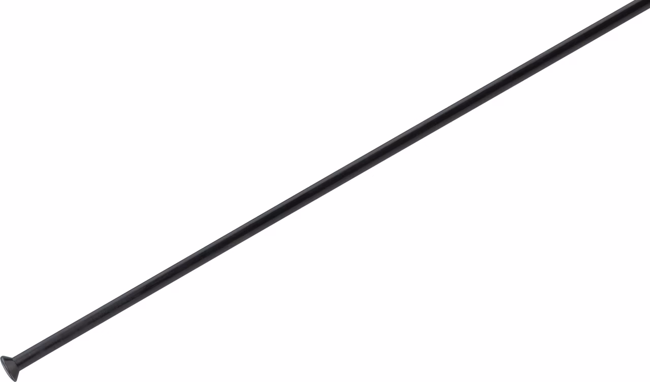 DT Swiss Champion® Straightpull 2.0 Speichen - 5 Stück Rabatte dieses Monats