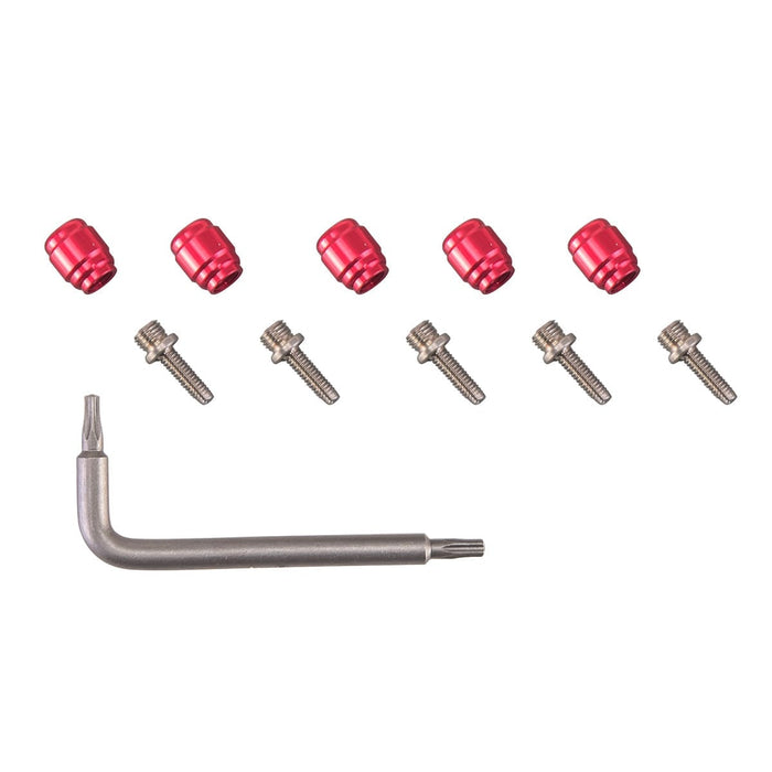 SRAM AVID Oliven + Inserts für SRAM/AVID Bremsen (x5)